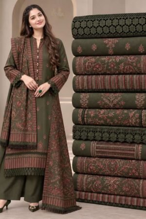 3 Piece – Embroidered Premium Dhanak Suit